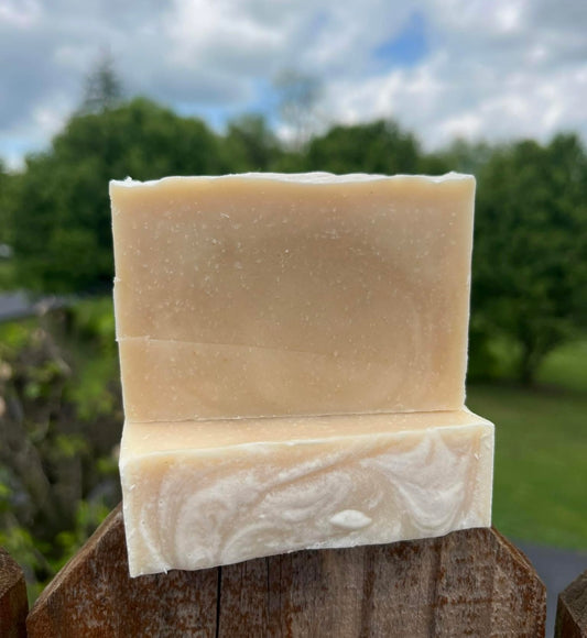 Skinny Dippin' goat milk soap